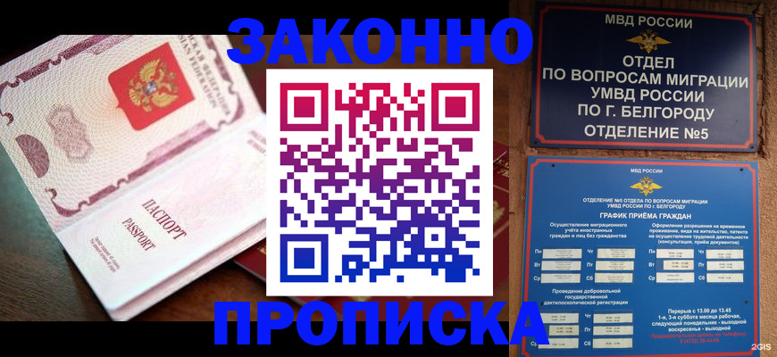 временная регистрация для школы в Новодвинске